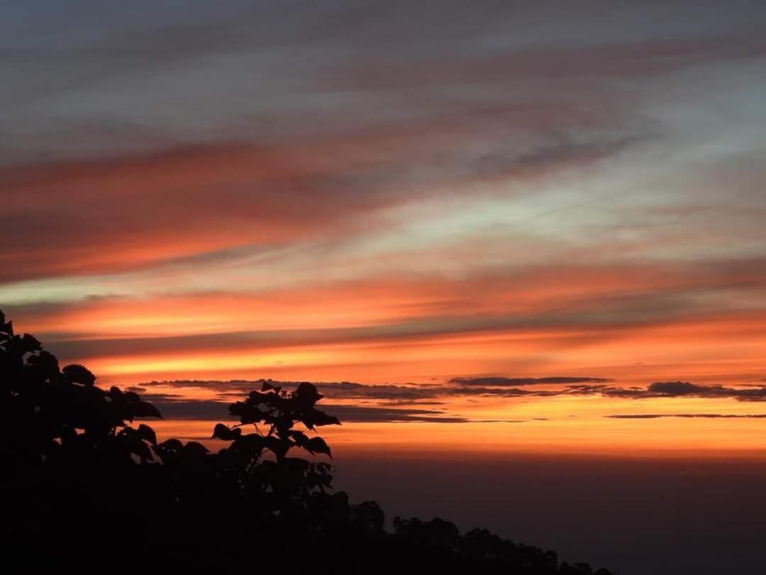 Cloud Walk Bed & Breakfast Kodaikanal Eksteriør bilde